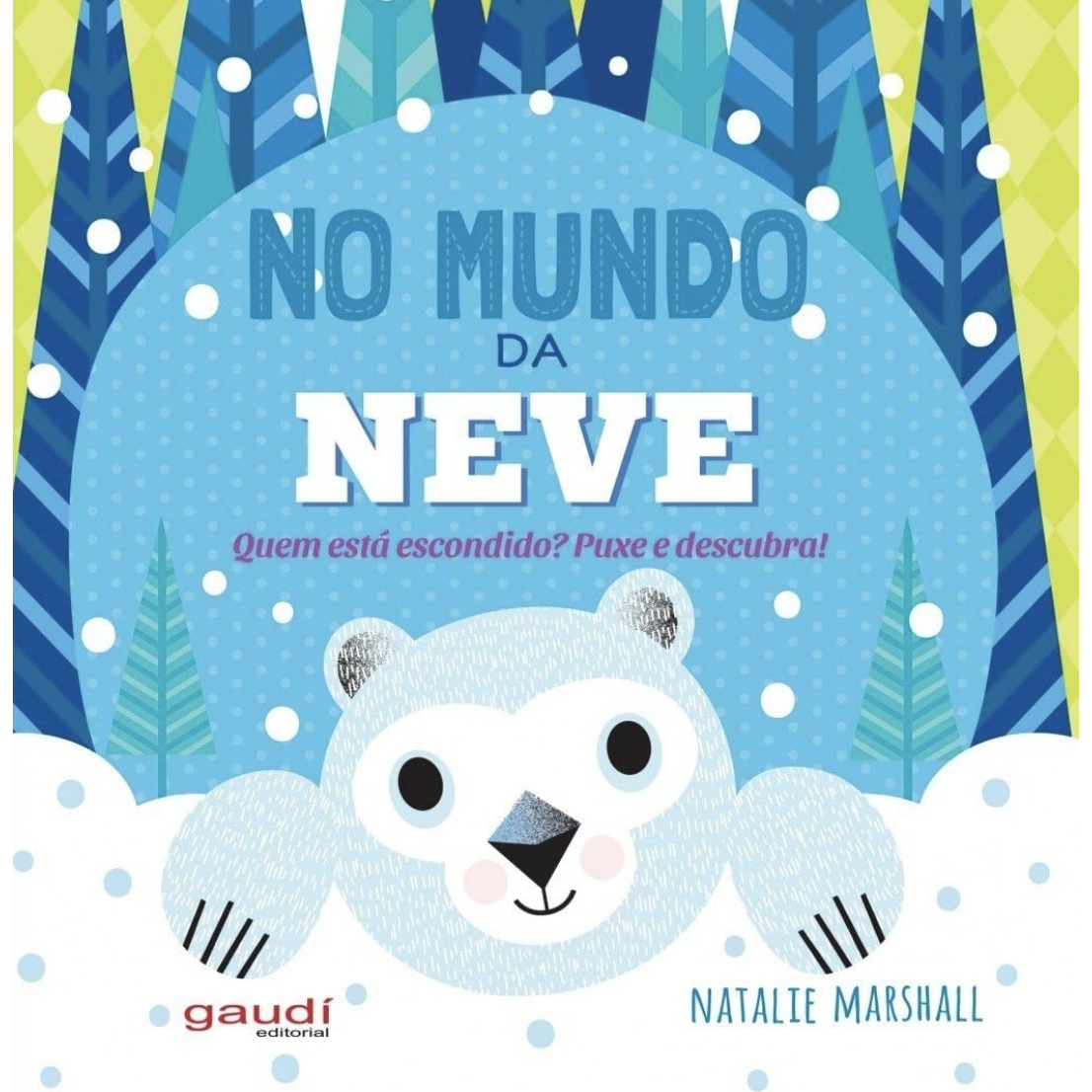 livro-no-mundo-da-neve